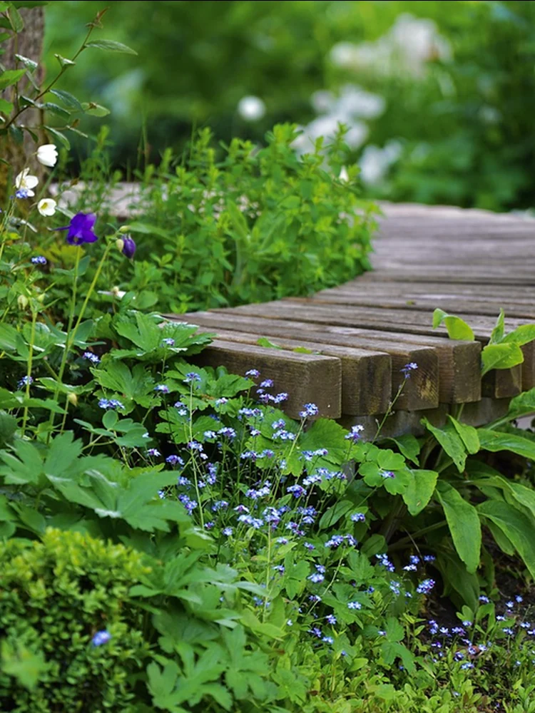Création de massifs et plantations