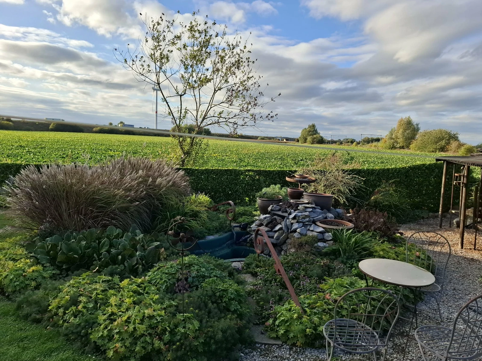 Réalisation Taille de haies