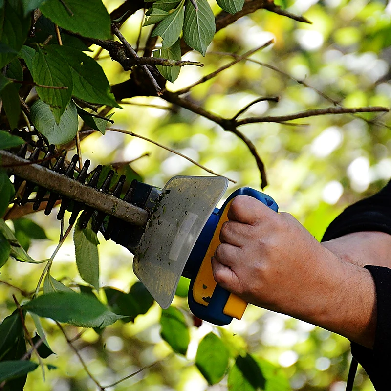 Service Débroussaillage