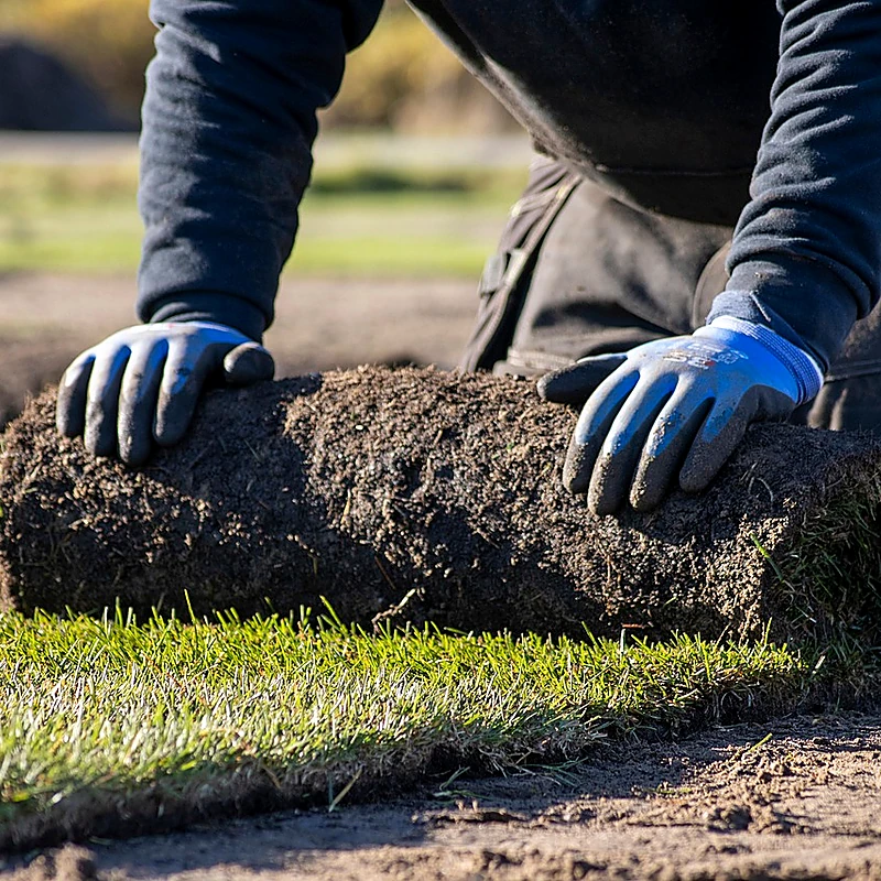 Service Semis de pelouse & rouleaux
