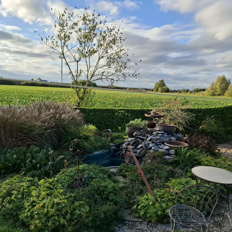 Service Taille de haies