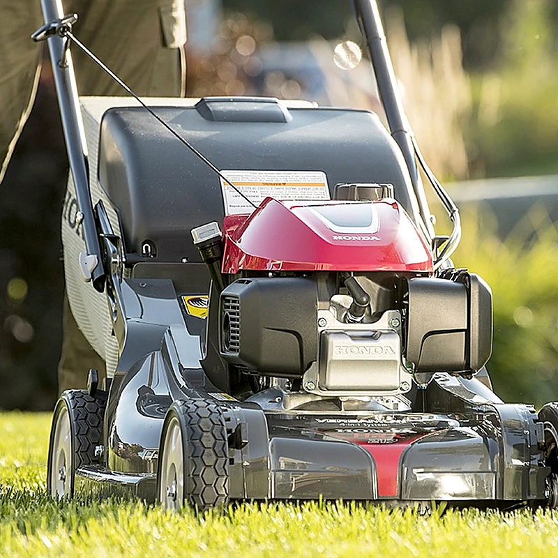 Service Tonte de pelouse